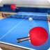 Table Tennis Touch